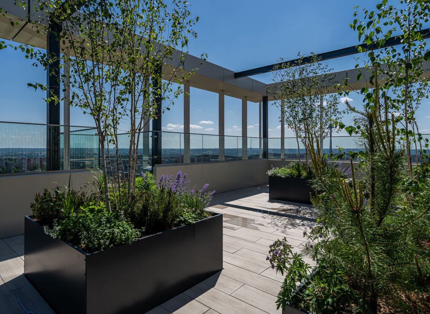 Sky Office_roof-terrace_glass viewing platform_3